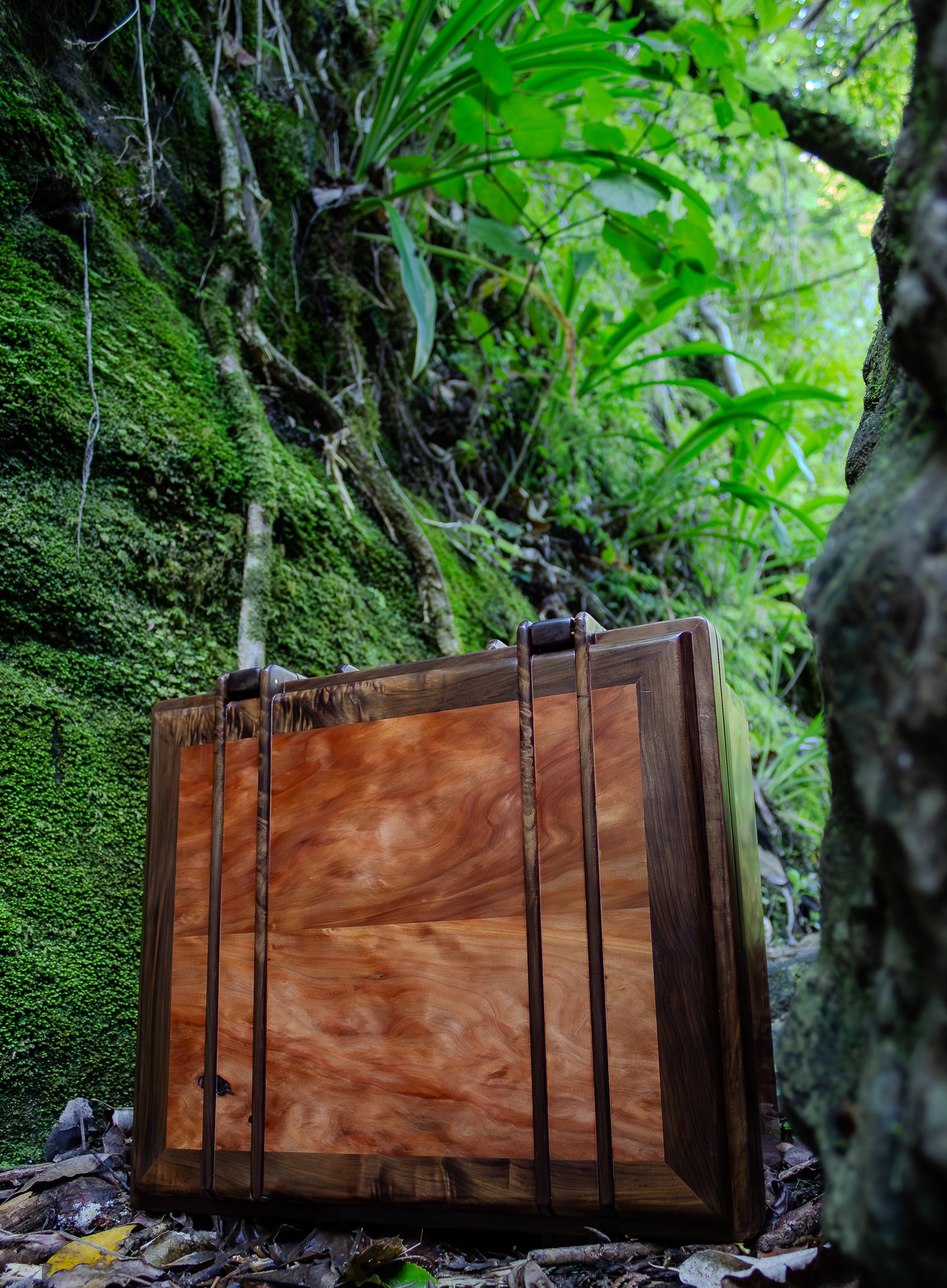 Case #9 - River Totara - Karamatura rocks