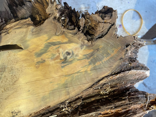 Kauri — Awa Woodworks piece