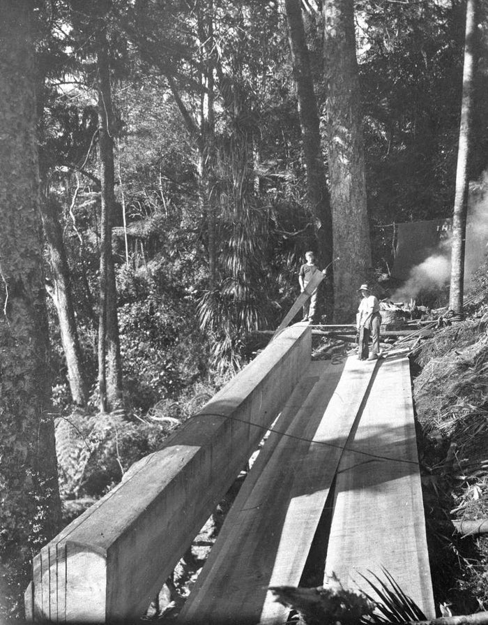 Pit sawing, Huia Stream, 1922. Auckland Libraries Heritage Collections JTD-07D-00329